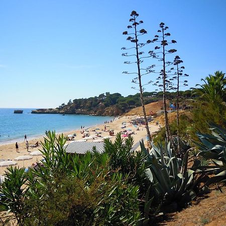 Jardins Da Balaia Ξενοδοχείο Αλμπουφέιρα Εξωτερικό φωτογραφία