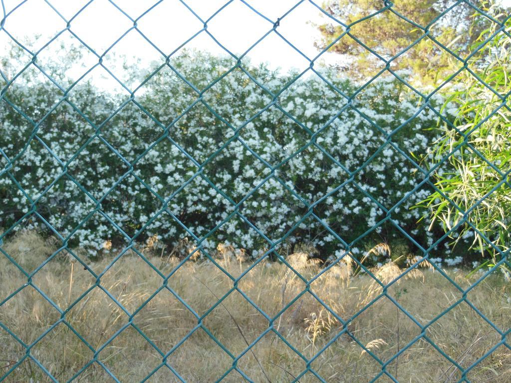 Jardins Da Balaia Ξενοδοχείο Αλμπουφέιρα Εξωτερικό φωτογραφία